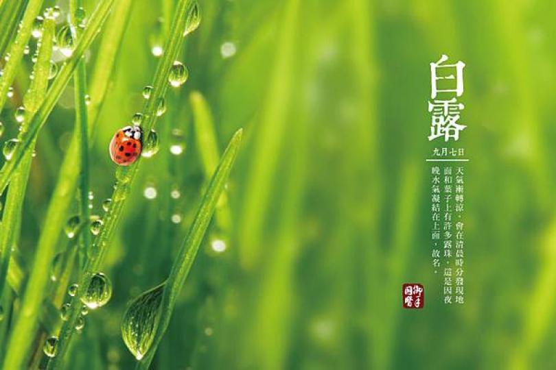 今年白露的時間是 9月7日(今天), 別著涼啊!...