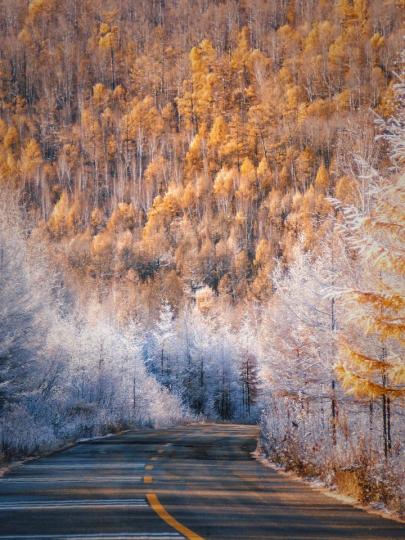 大兴安岭的秋，却带着冬的清冷，绘成一幅秋冬的油画...