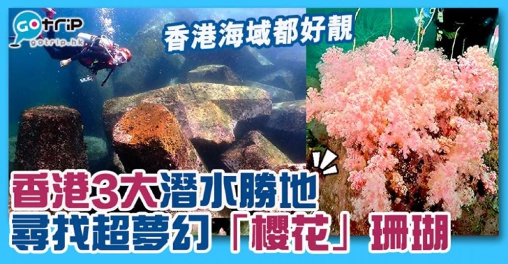 香港嘅水底世界好靚啊！超夢幻「櫻花」珊瑚詳情：https://www.gotrip.hk/593908/...
