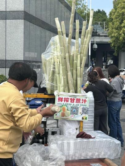 曾經香港都好興食蔗......