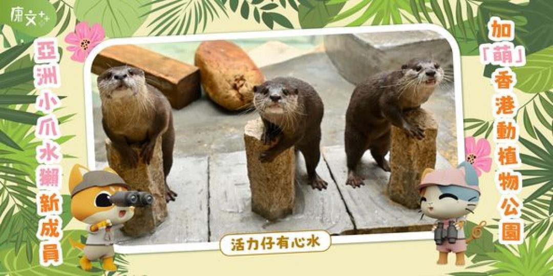 超得意動物加「萌」......