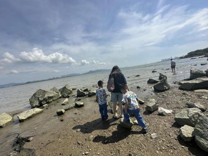深圳海公園D2出口，紅樹林生態公園...