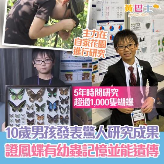 成功證實鳳蝶保留了幼蟲時的記憶...