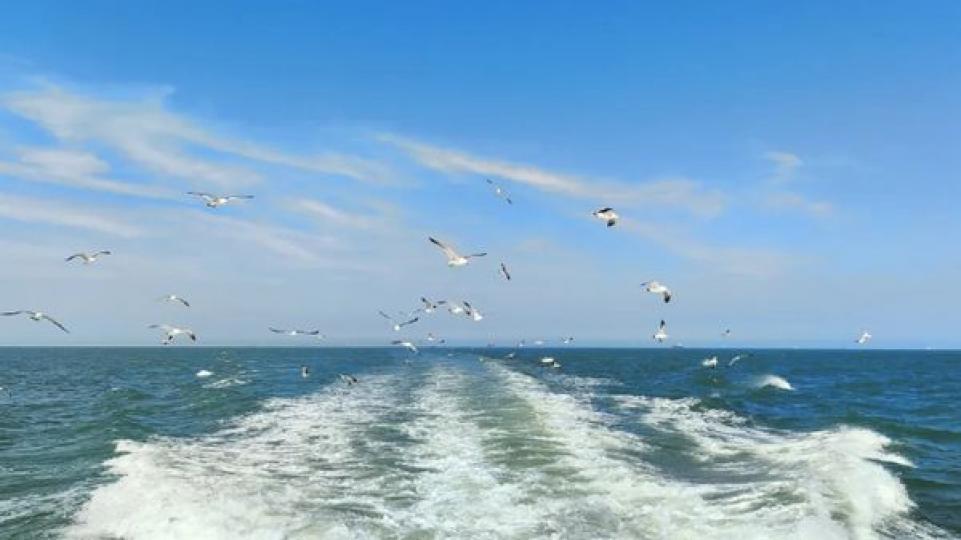 海警眼中的大美海疆......