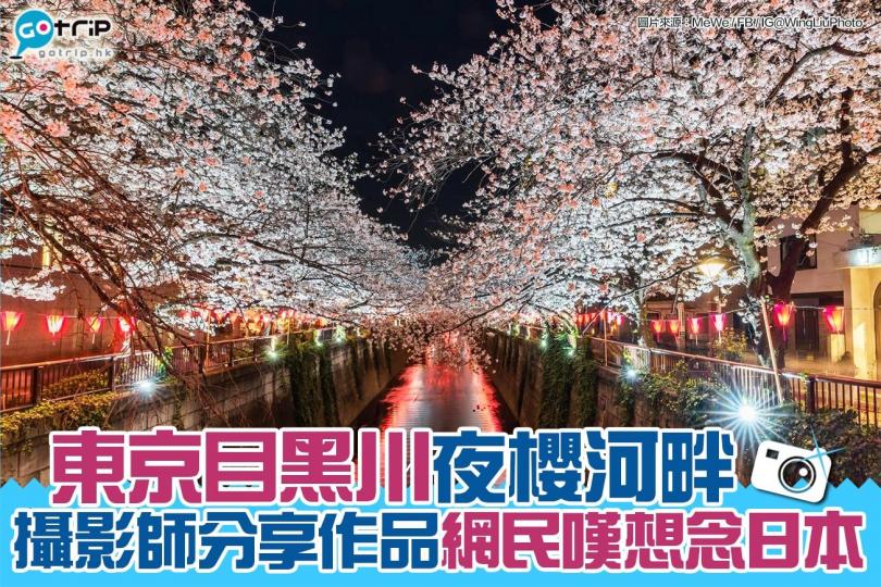 望到香港攝影師分享依張目黑川夜櫻嘅相
係咪即刻好掛住日本呢？...