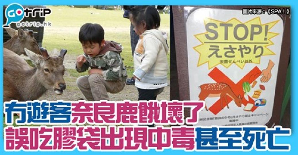 如果可以返鄉下餵鹿餅 咁就唔使食垃圾...