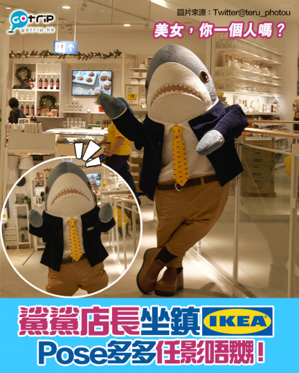 近日有位日本網友行街去IKEA，居然喺IKEA遇到鯊鯊店長現身...