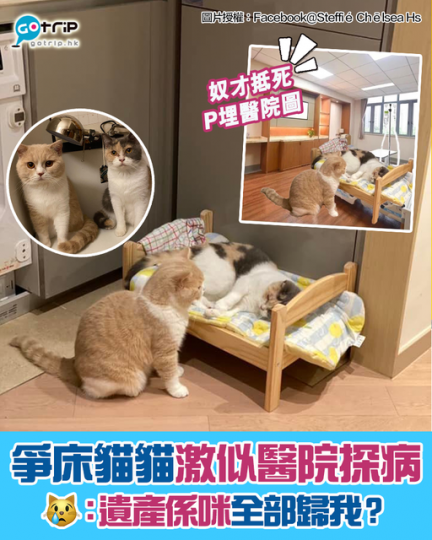 詳情：https://www.gotrip.hk/678231/...