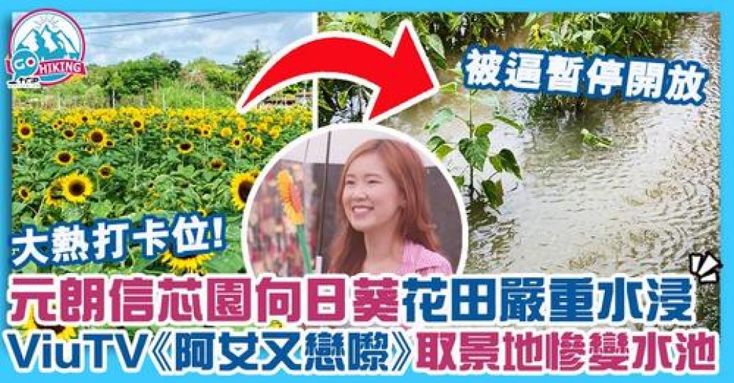 詳情：https://www.gotrip.hk/606190...