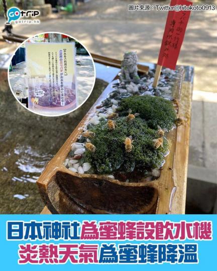 炎炎夏日，有一間日本神社就非常貼心，為一班蜜蜂準備了消暑地方...