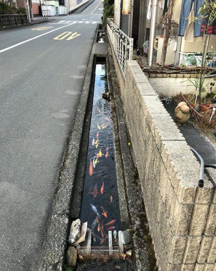 日本 Japan 日本 Japan...