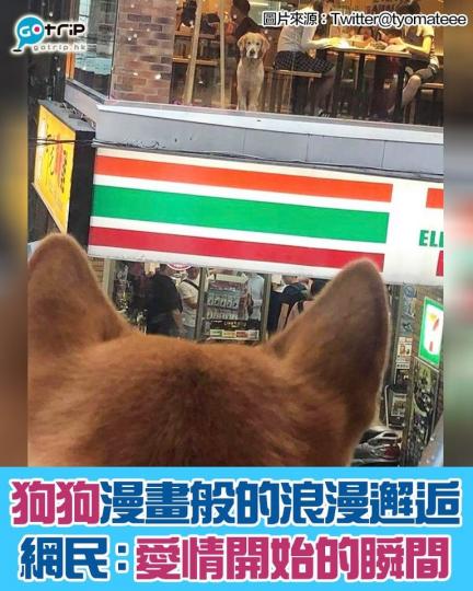喺佢哋對望嘅一瞬間，有啲嘢開始咗...