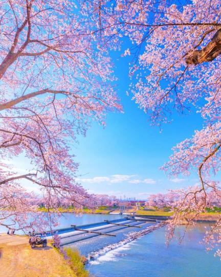 人生必看一次的夢幻絕景...