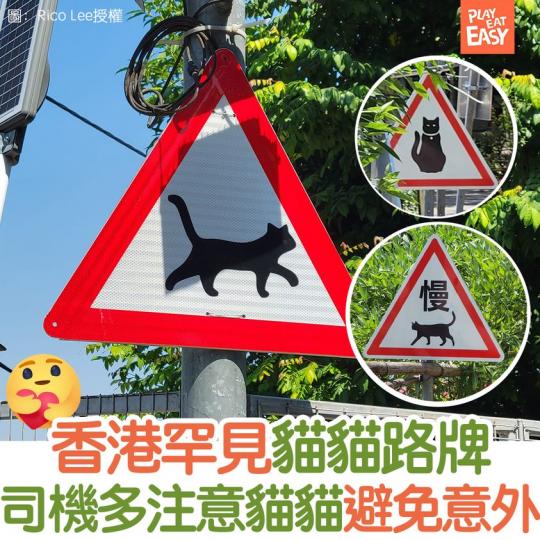 有網民分享香港罕見貓貓路牌...