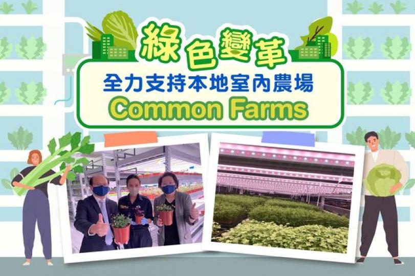 中電全力支持本地室內農場Common Farms...