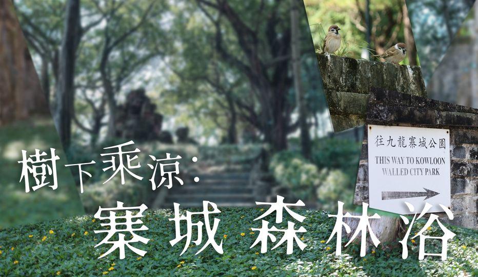 森林浴，透過與大自然連繫...