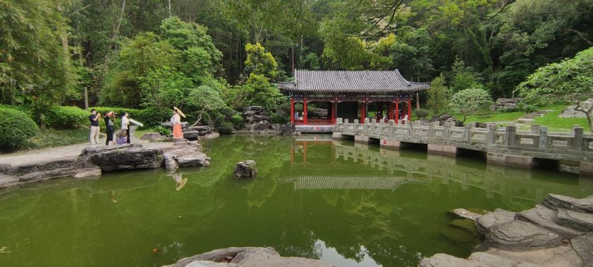 深圳園博園，免費，地方大。影相一流。...