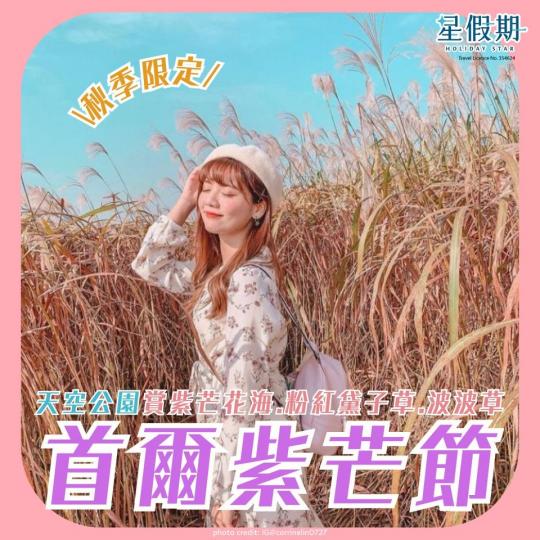 秋季限定 「首爾紫芒節」......