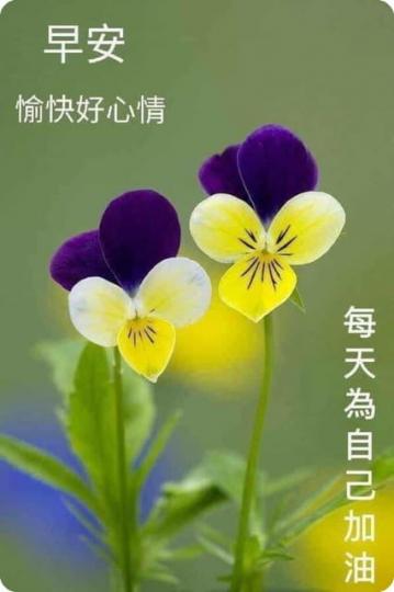 老友記早安,每天愉快好心情。...