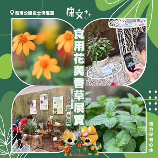 香港公園霍士傑溫室 - 食用花與香草展覽...