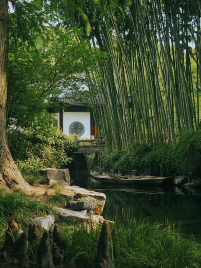 上海古猗園..........
