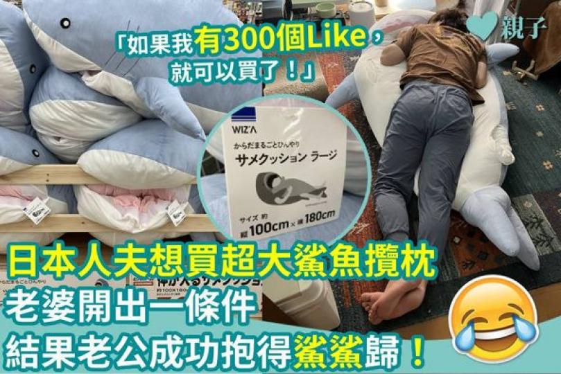 睇中咗隻人咁高嘅鯊魚攬枕......