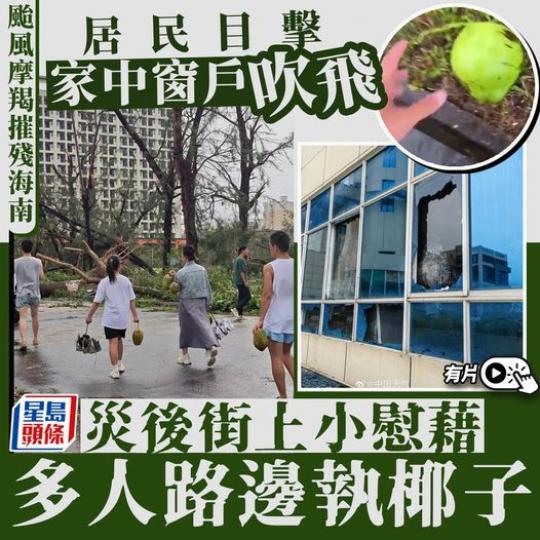 ....椰子放題椰子放題...