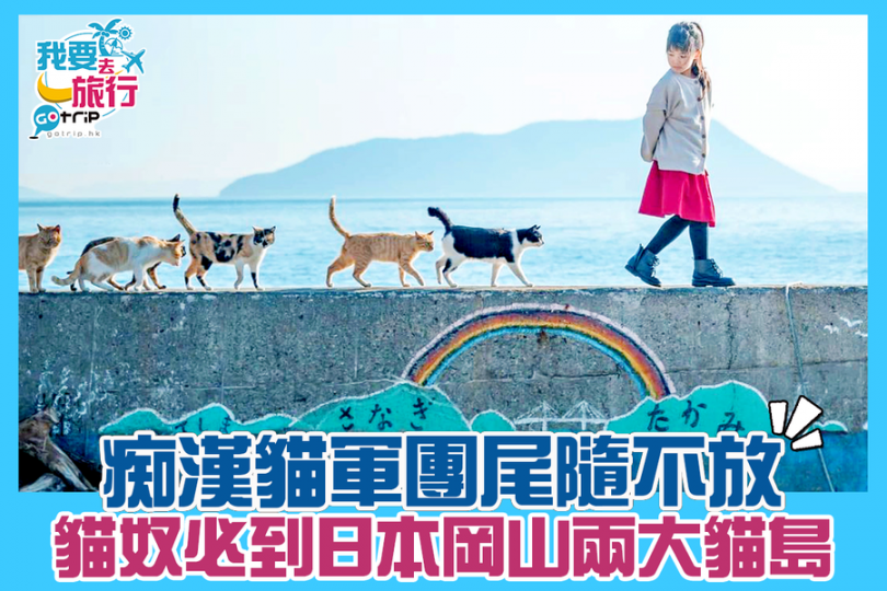 好想念背住貓主子去日本貓島出軌吸貓...