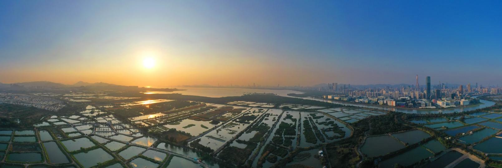 西北濕地大觀陳一年╱圖...