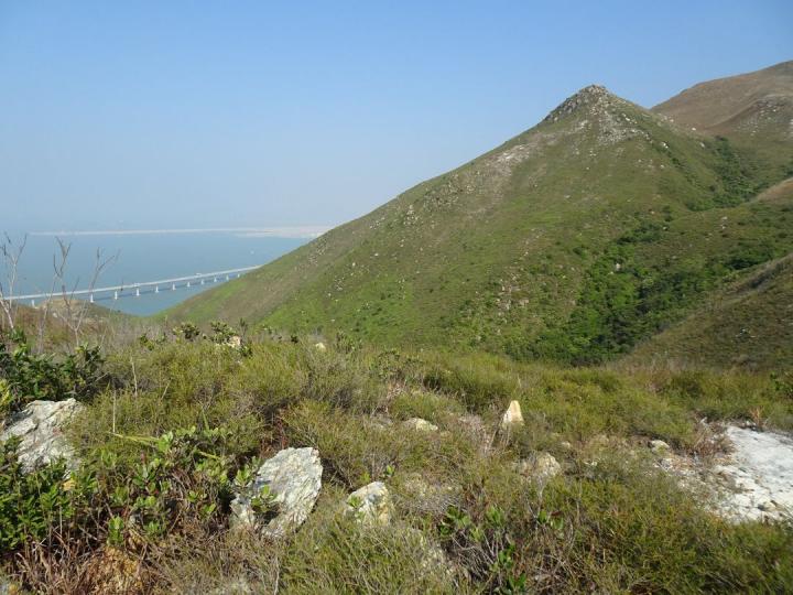 靈隱渡象張阿水／圖......