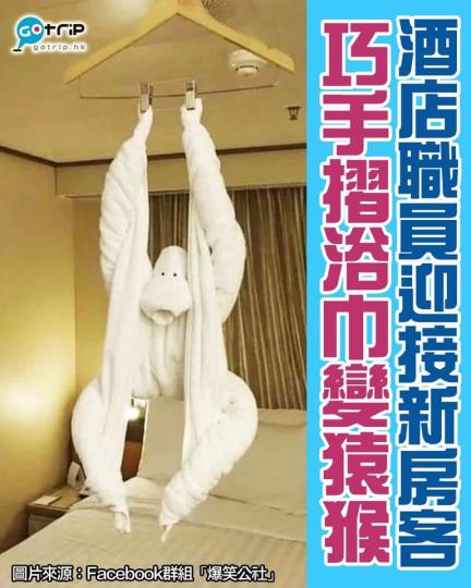 酒店職員竟然將大浴巾摺成猿猴...