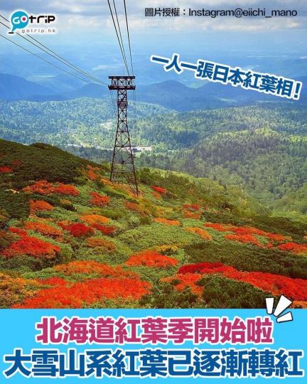 紅葉顏色也比過往更鮮艷！...