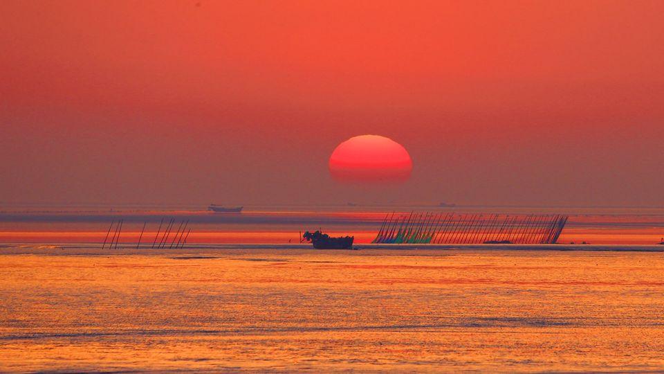 【出海口濕地　碧海百鳥翔集】（李東明攝）...