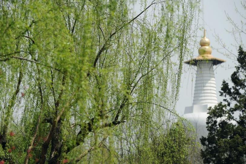 【象徵富可敵國的白塔】...