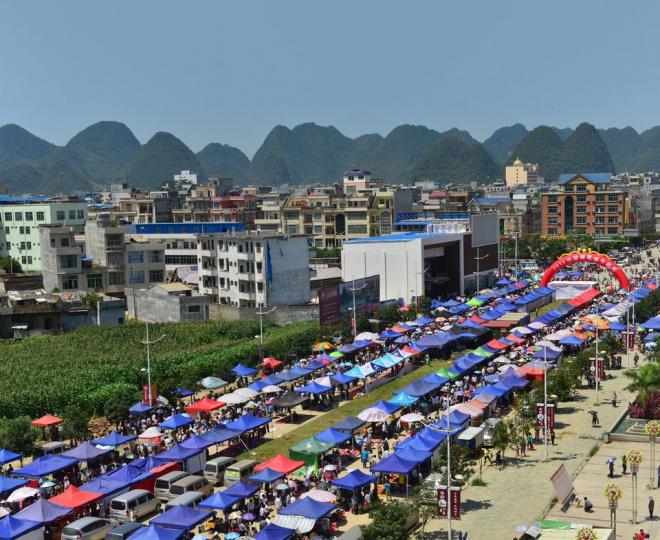 【現代神農──靖西端午藥市】...