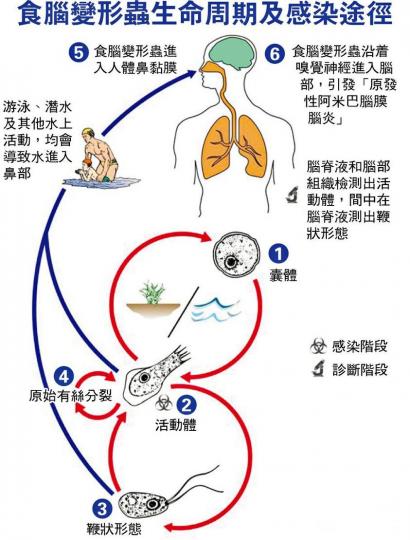 韓首現「食腦菌」感染 死者曾訪泰...