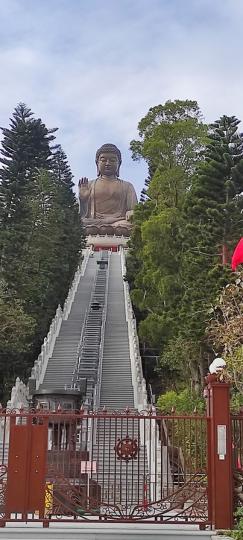 迎新年寶蓮寺大佛祈福...
