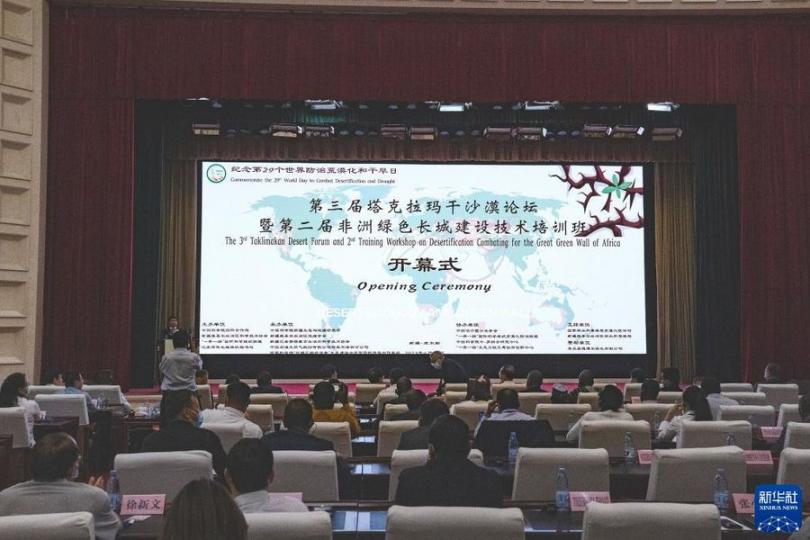 「獨行快，眾行遠」，中非攜手防治荒漠化前景廣闊...