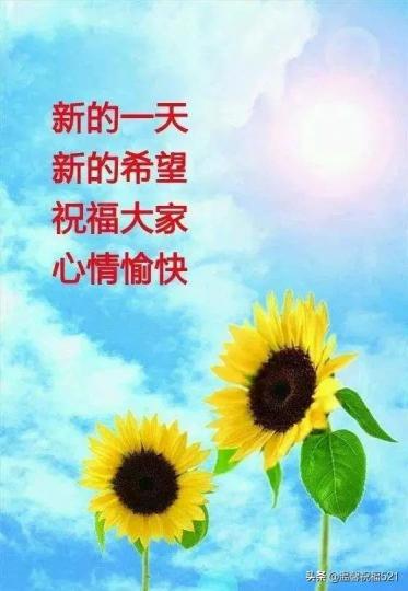 老友記早晨,新一天開
心幸福...