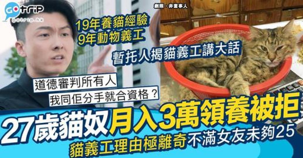 27歲的事主有20年養貓經驗...