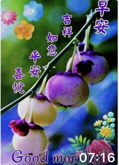 早晨，美好的一天，祝各位吉祥如意...