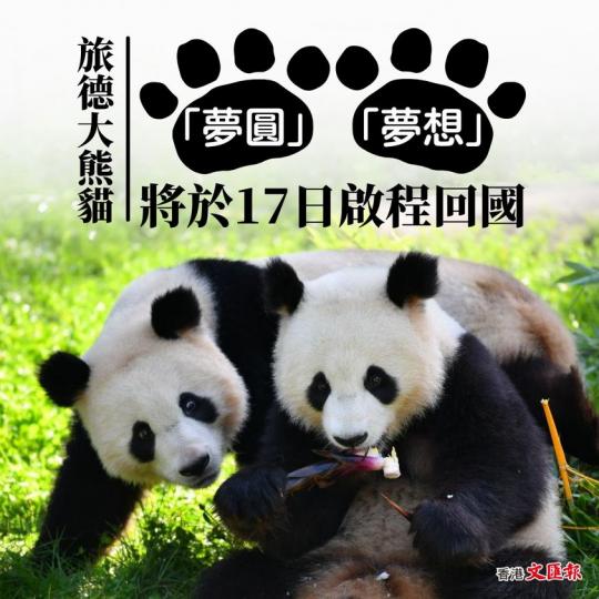 旅德大熊貓「夢想」和「夢圓」將於17日啟程回國...