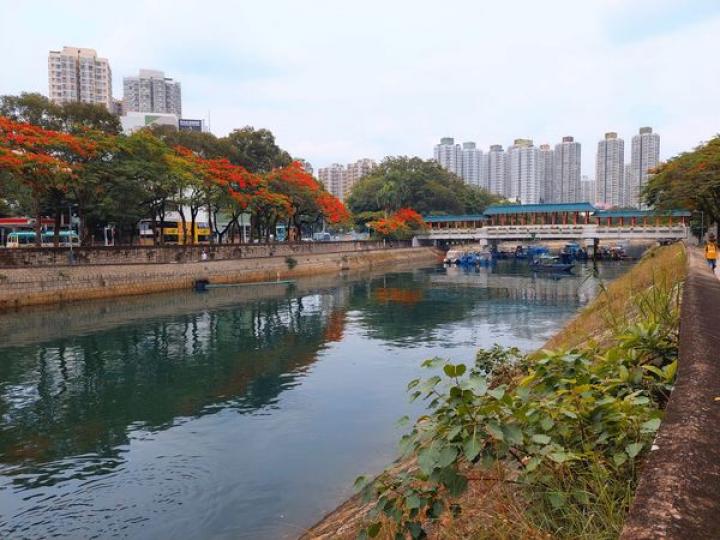 大埔林村河大埔林村河...