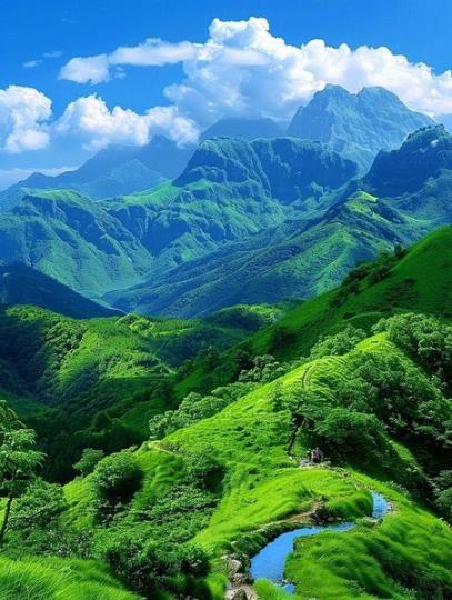 郁郁葱葱的山峦......