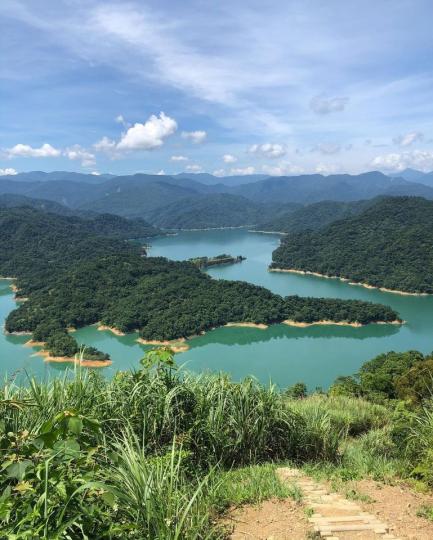 可愛又壯觀「巨大湖泊鱷魚島」就在台灣...