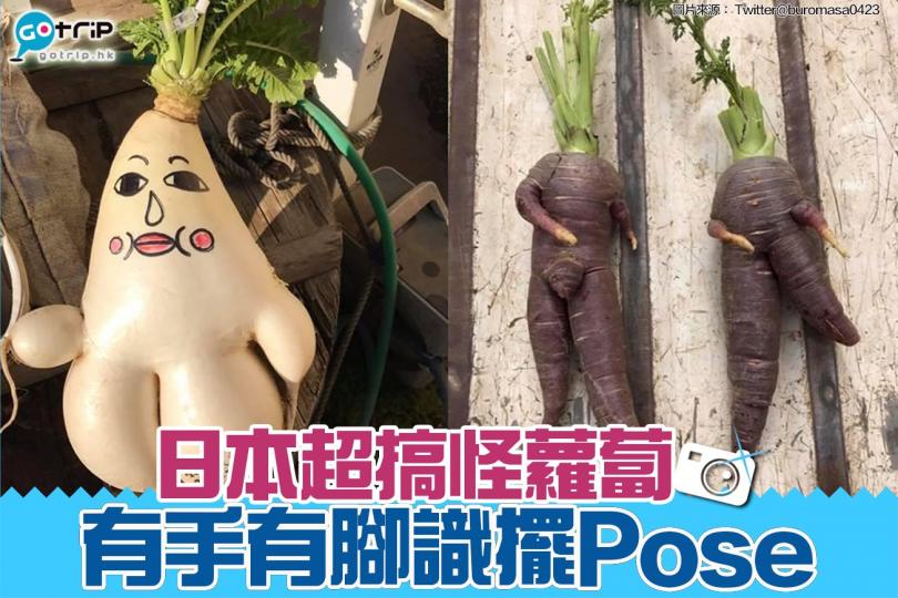 日本神奈川一個農場，收成一批超搞怪紅蘿蔔...