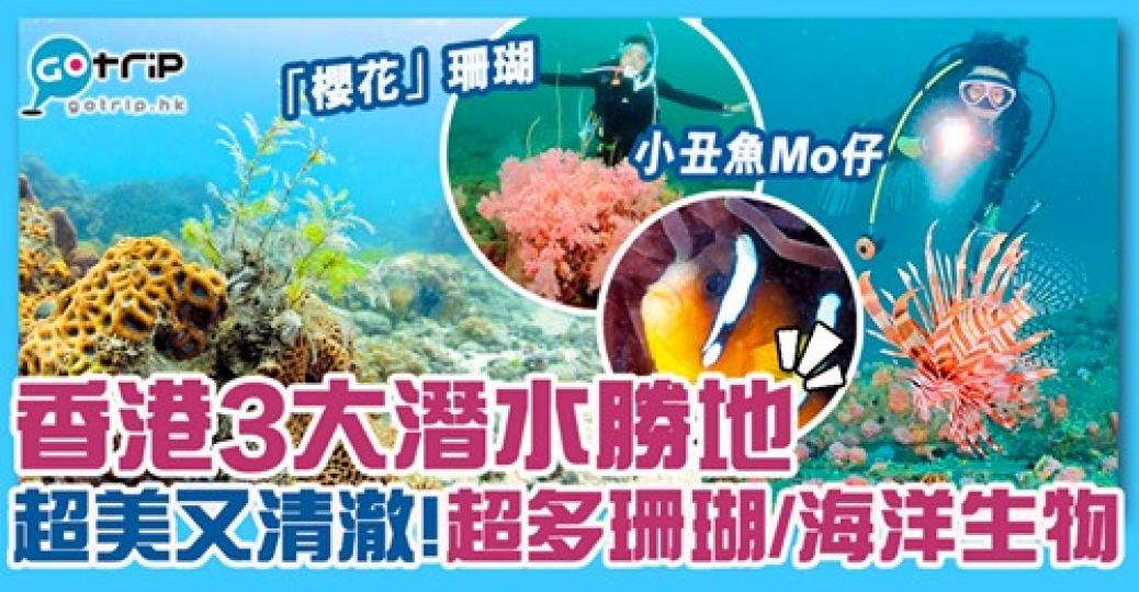 詳情：https://www.gotrip.hk/593908/...