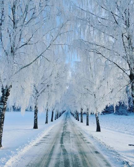 彷彿置身在《冰雪奇緣》中的艾倫戴爾王國...