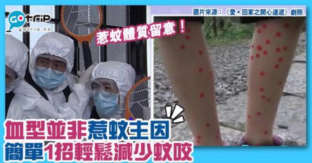 詳情：https://gotrip.app.link/QIyBBEGiDib...