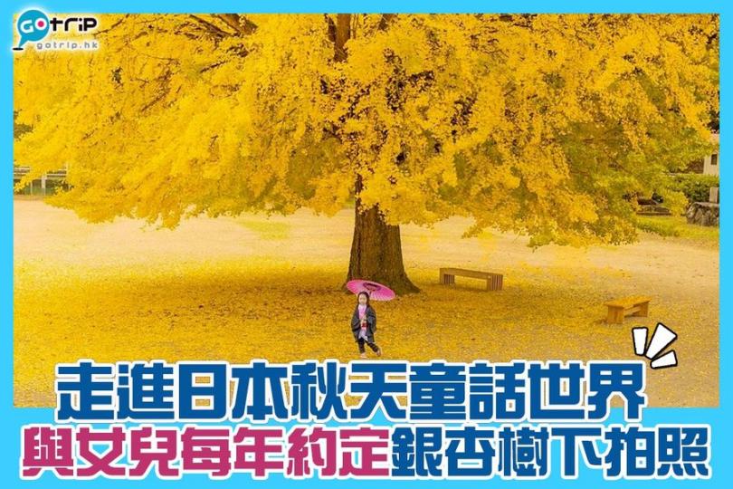 日本攝影師爸爸河童兄的IG帳戶中,每年都會為女兒拍攝銀杏樹下的照片,更連續兩年都到鳥取日南町日野上小學的百年銀杏樹取景... 日本攝影師爸爸河童兄的IG帳戶中,每年都會為女兒拍攝銀杏樹下的照片,更連續兩年都到鳥取日南町日野上小學的百年銀杏樹取景...